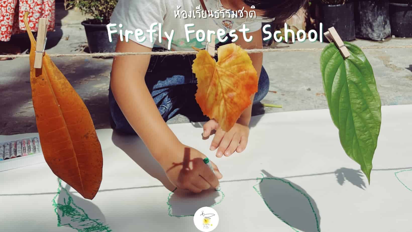 Made leaves shape with shadow.
#ห้องเรียนธรรมชาติ
#natureactivities
#fireflyfo...