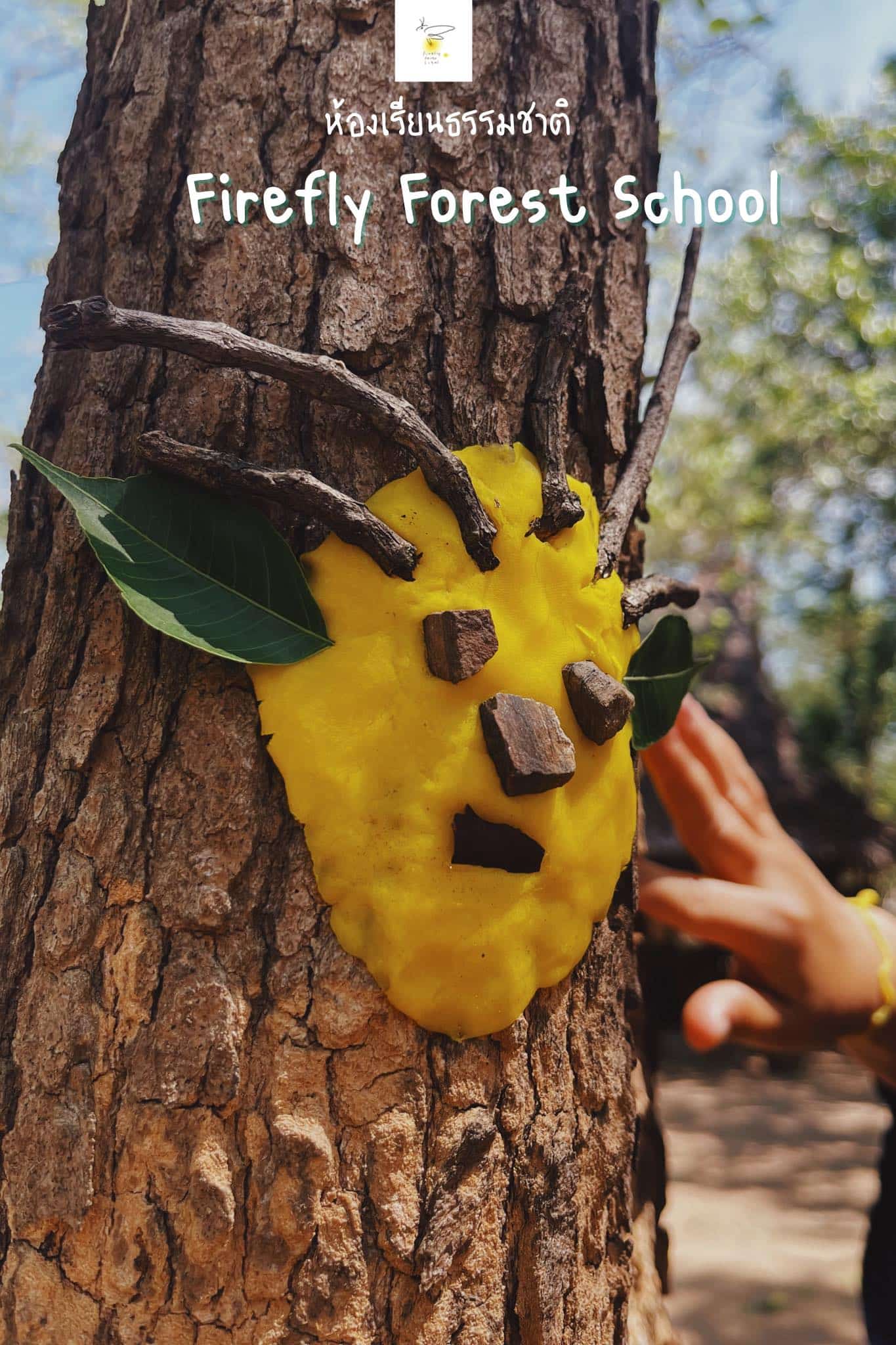 Forest Play In Firefly Forest School Camp #04
 กิจกรรมของห้องเรียนในแคมป์ วันที่...