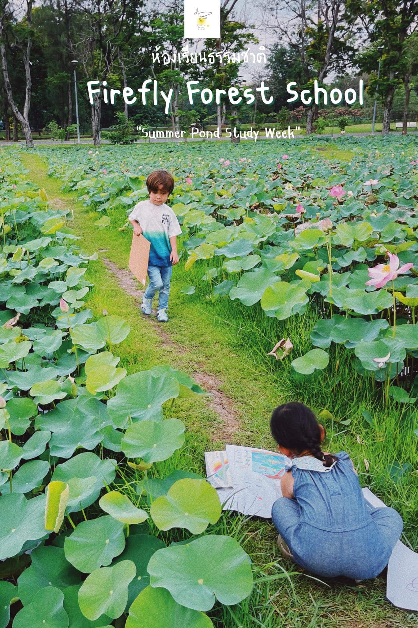“Summer Pond Study Week”
 ห้องเรียนธรรมชาติของเราอาทิตย์นี้ เราออกไปเยี่ยมพี่กบก...