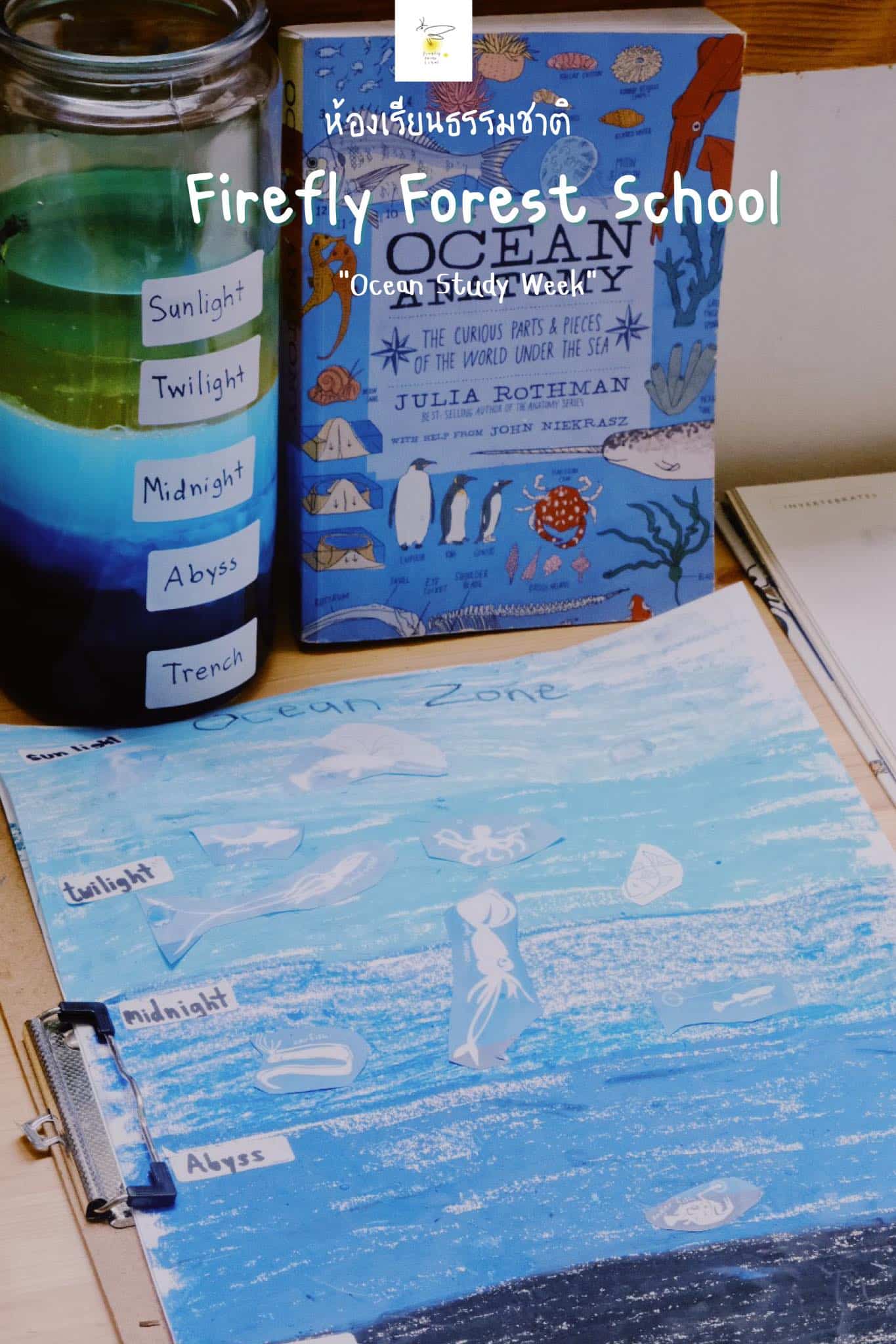 Firefly Forest School 
Ocean Study Week
สัปดาห์นี้ห้องเรียนธรรมชาติของเราเรียนเร...