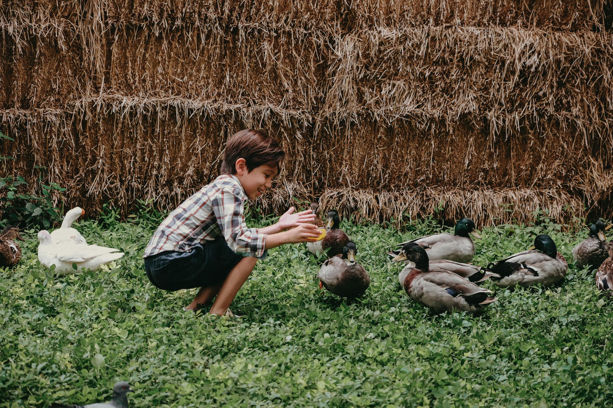 Children exploring the Secret Garden during a playgroup at Firefly Forest School in Bangkok.