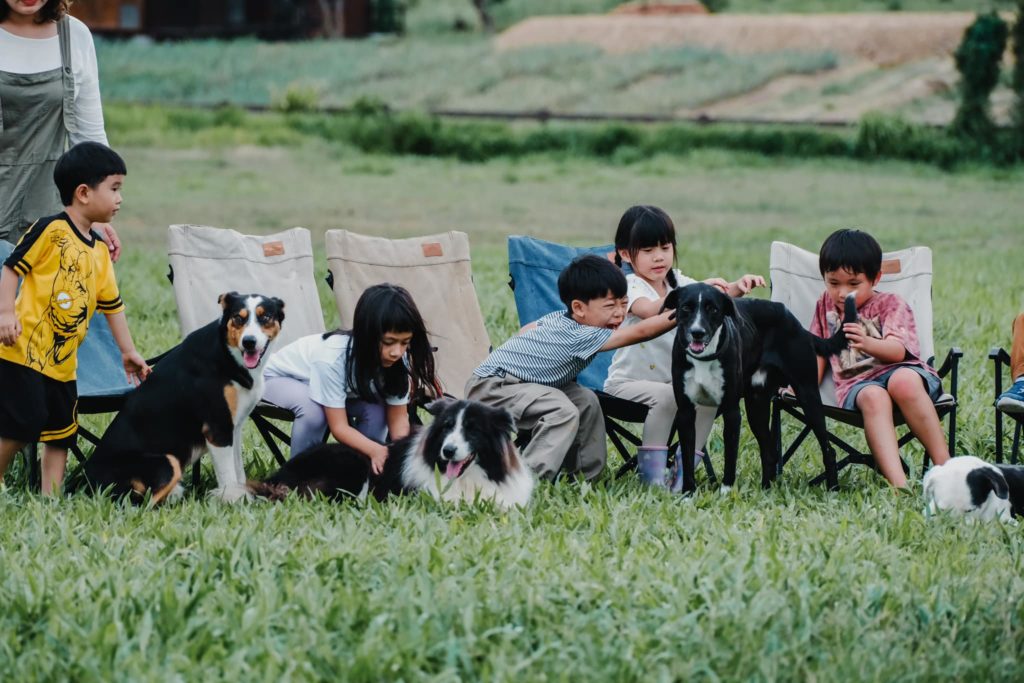 Explore a farm camp experience for kids in Bangkok at Firefly Forest School, offering nature-based fun in 2025. Book a tour today!

