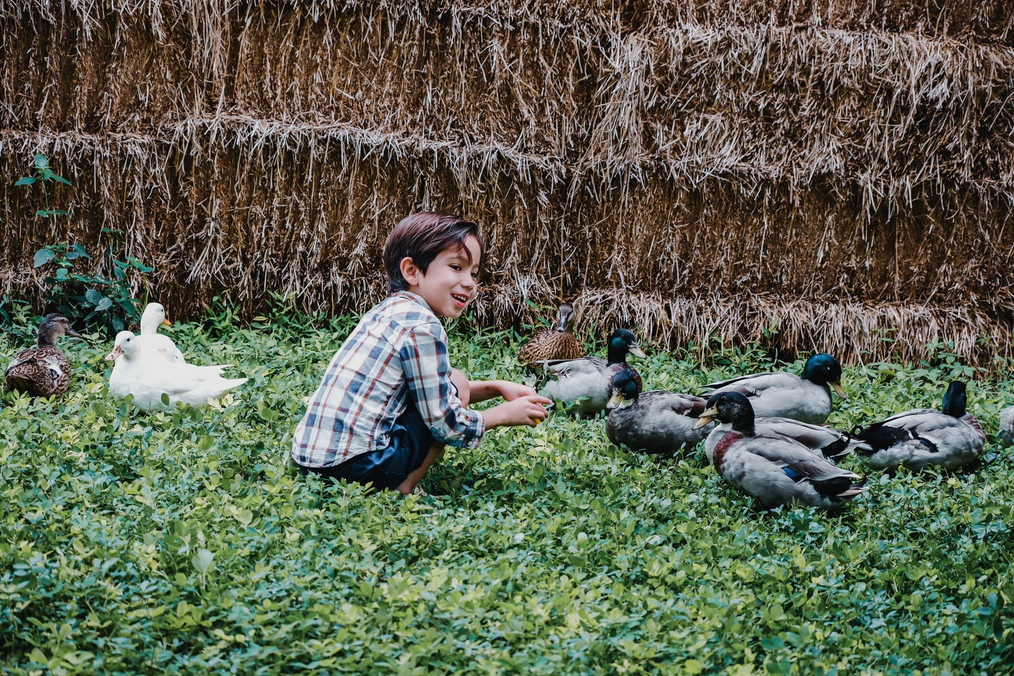 Children exploring nature during a playgroup session at Firefly Forest School in Thailand.