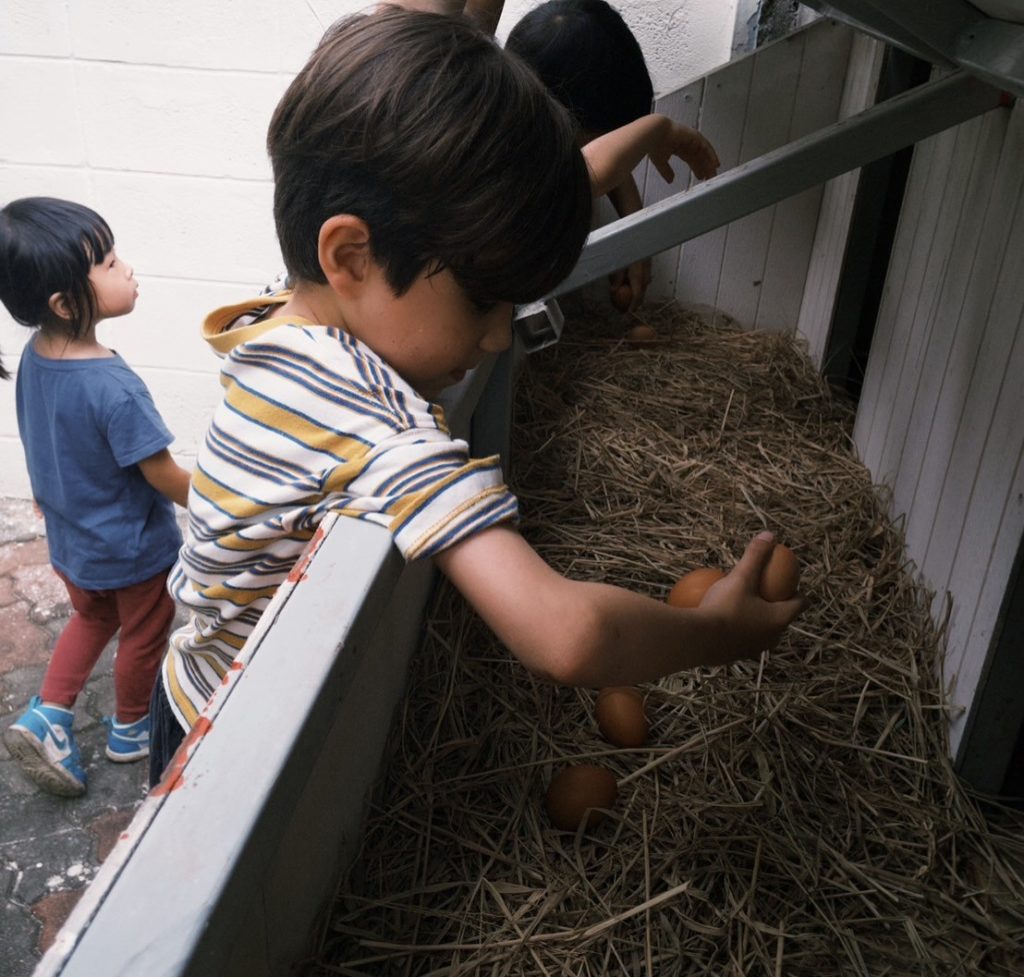 A group of kids trying to choose an egg in the farm during an experiential learning activity at Firefly Forest School in Bangkok.

