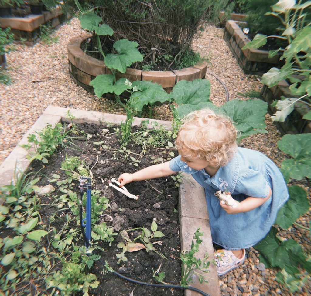 Explore an eco-friendly preschool in Bangkok at Firefly Forest School, teaching sustainability for ages 1.5–5 through nature play. Book a tour!

