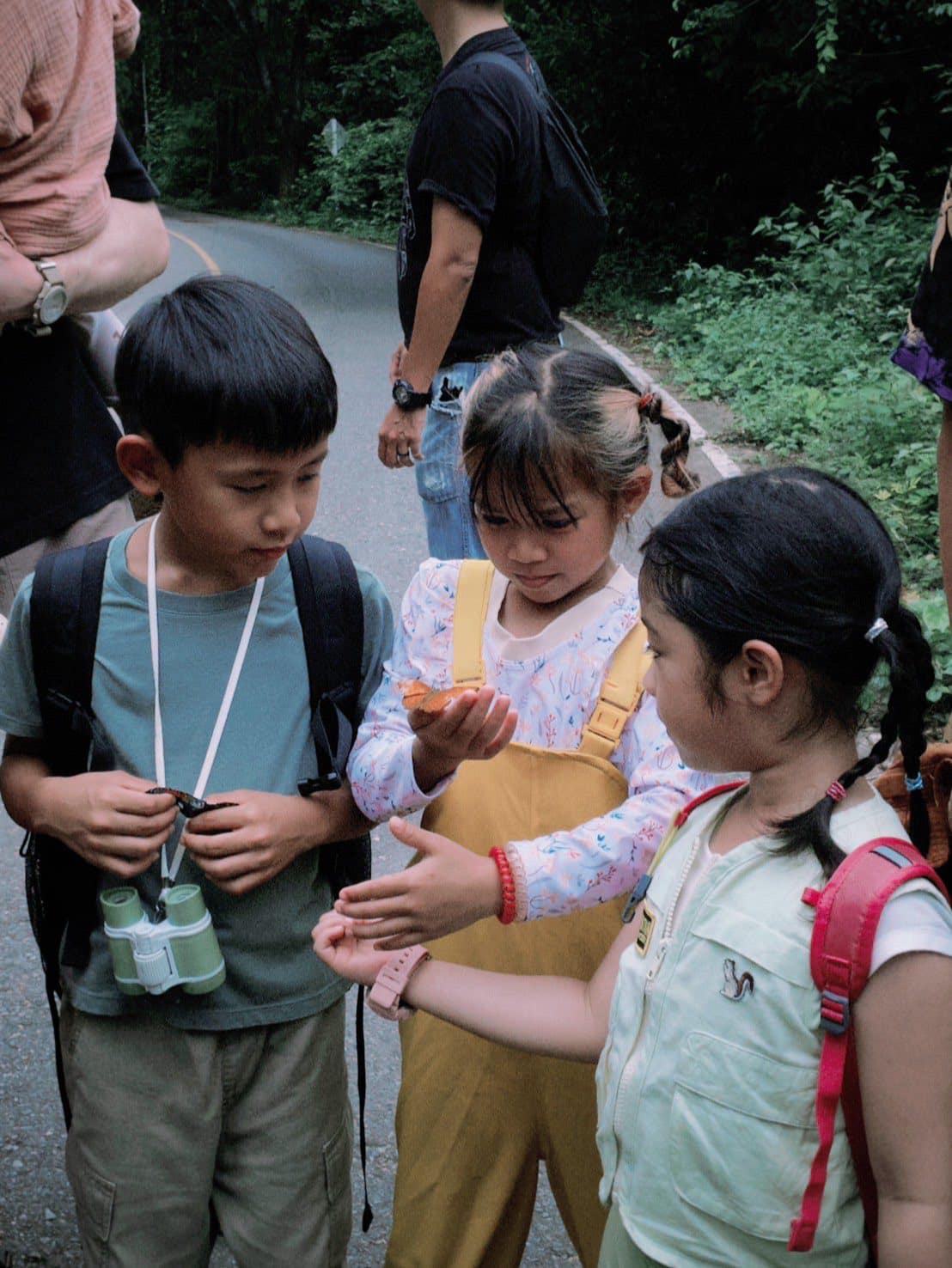 Permaculture for Kids in Bangkok: Firefly Forest School Lessons