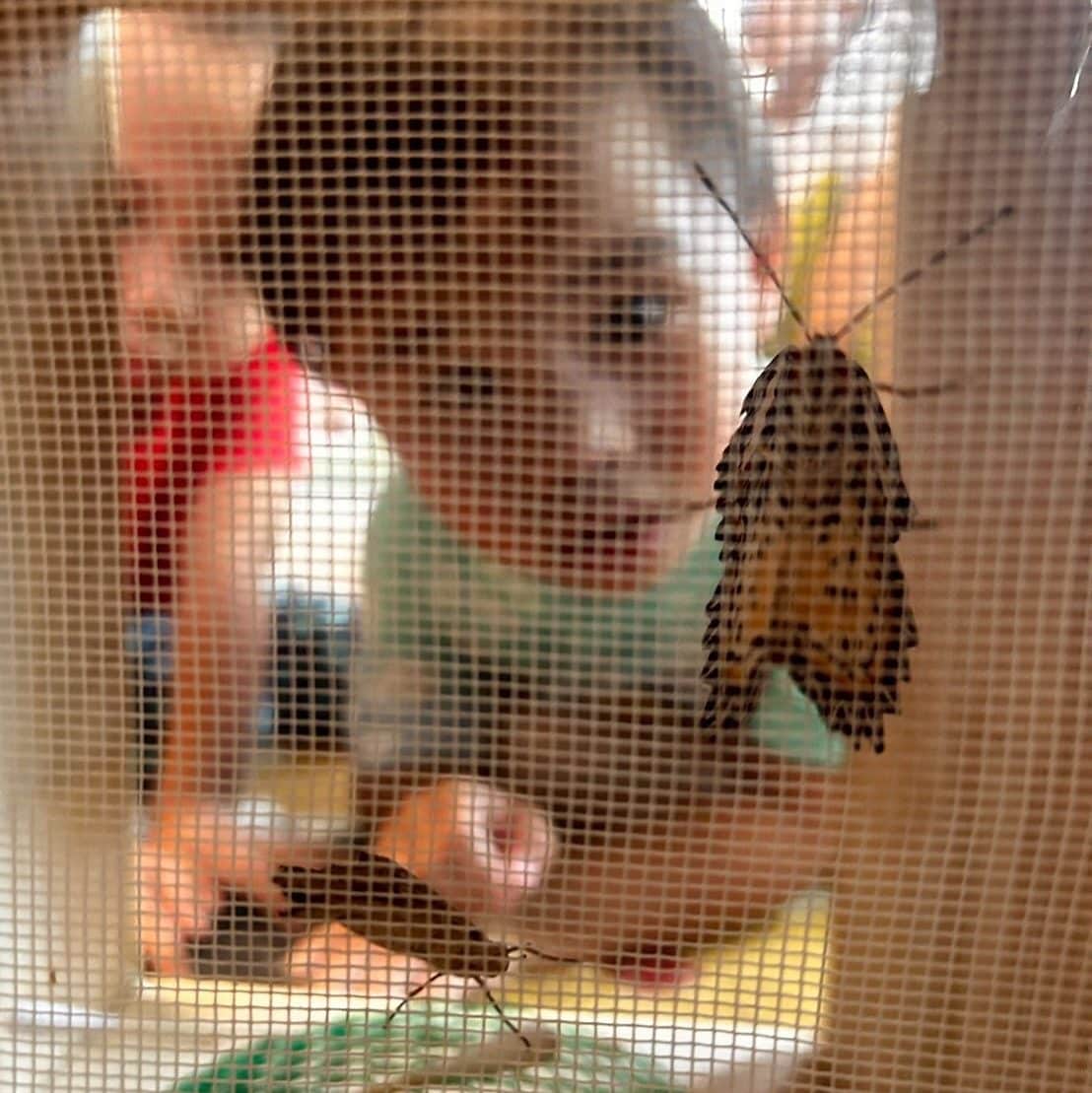 A toddler chasing a butterfly while learning its name in Thai during a bilingual preschool activity at Firefly Forest School.