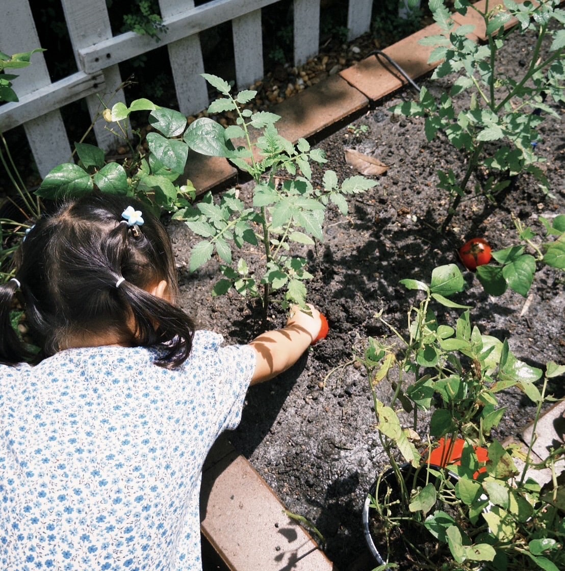 Children exploring garden at Firefly Forest School’s bilingual preschool in Bangkok.