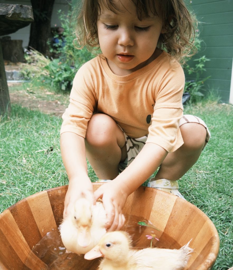 Children playing ducks they found during a child-led learning session at Firefly Forest School in Bangkok.


