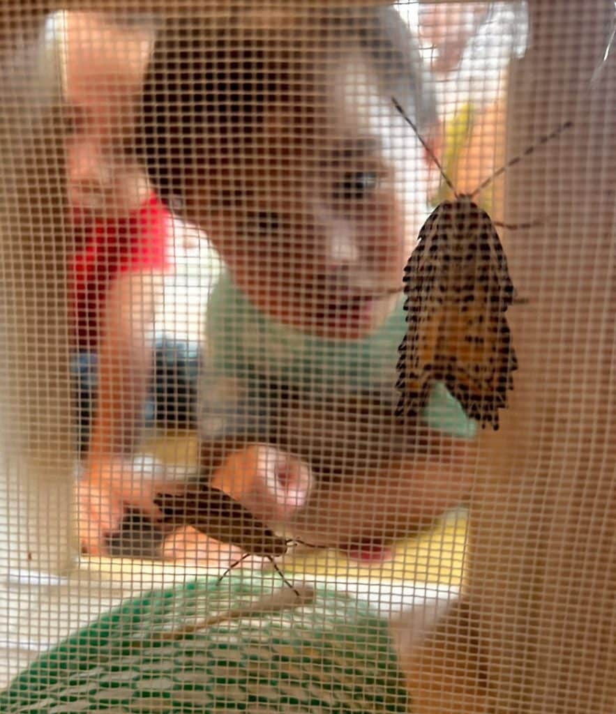 A toddler chasing a butterfly while learning its name in Thai during a bilingual preschool activity at Firefly Forest School.

