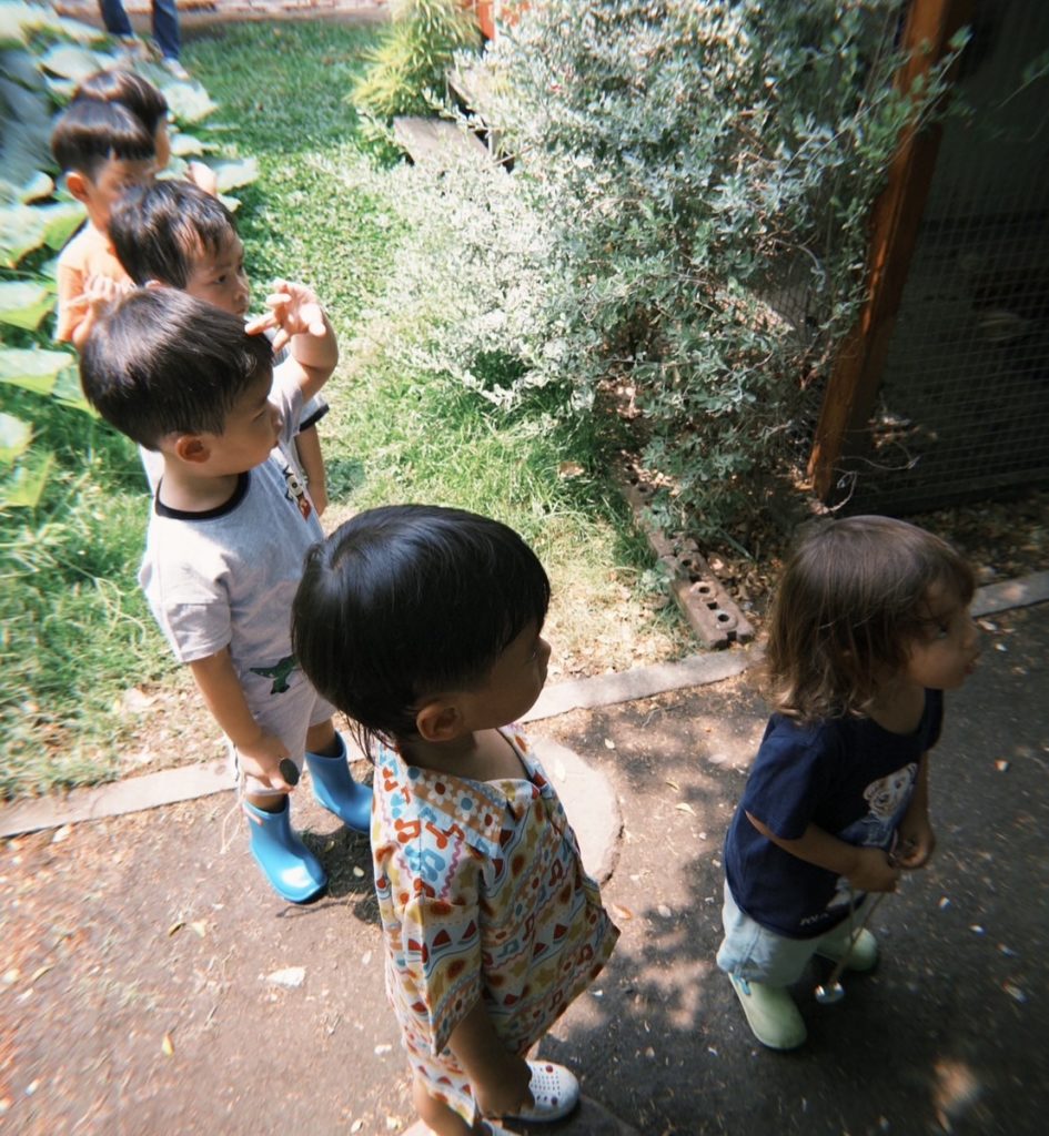 Benefits of Nature-Based Education for Kids at Firefly Forest

